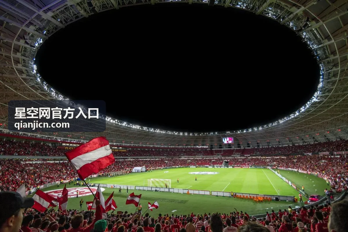 星空网官方入口验证码区域无法显示的处理办法