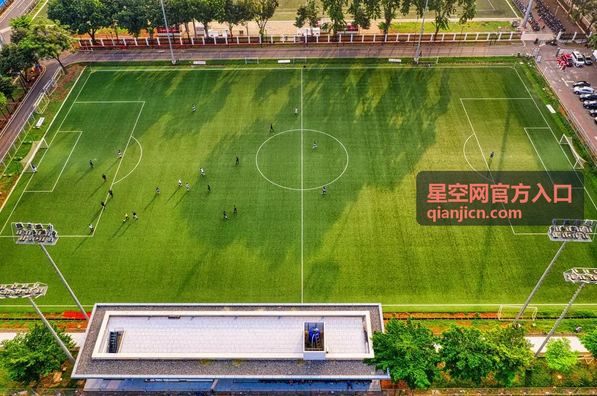 星空网官方入口在不同设备上的兼容性核对